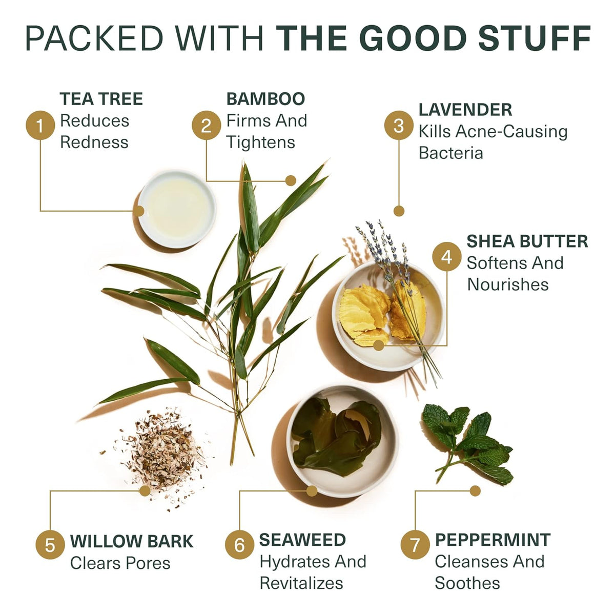 Botanic Tree Glycolic Acid Face Wash, Exfoliating Facial Cleanser For Facial Skin Care, Acne