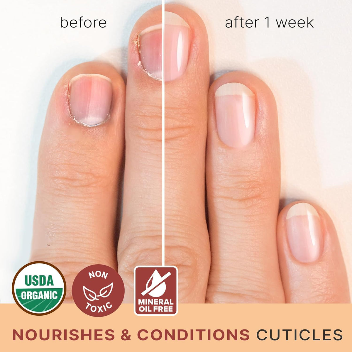Organic Nail and Cuticle Oil - USA Made Nail Oil for Growth & Strength with Jojoba and Vitamin E