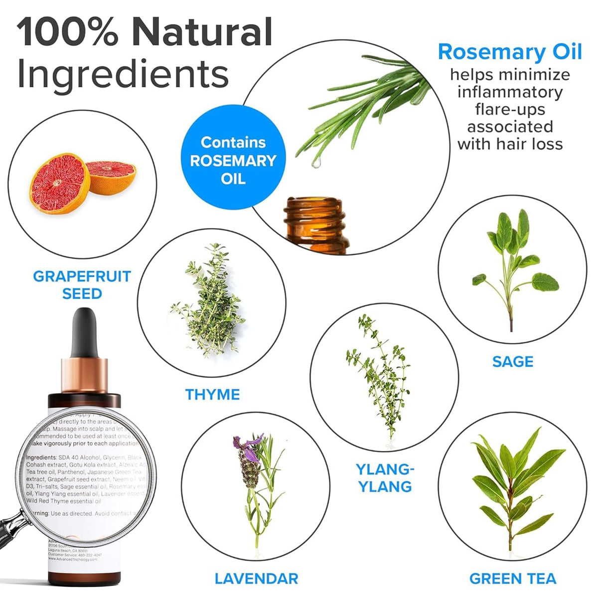 HairStem Follicle-boosting Triceutical Serum for Thicker Fuller Hair | Triple-Action, Multi-Zonal