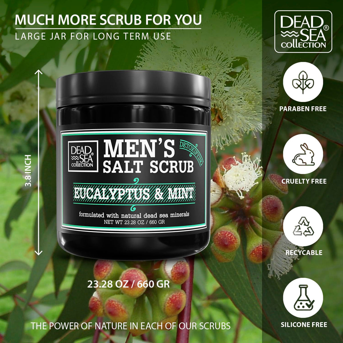 Salt Body Scrub Eucalyptus & Mint For Men– Moisturizes, Exfoliates & Nourishes Skin – Cleanses &