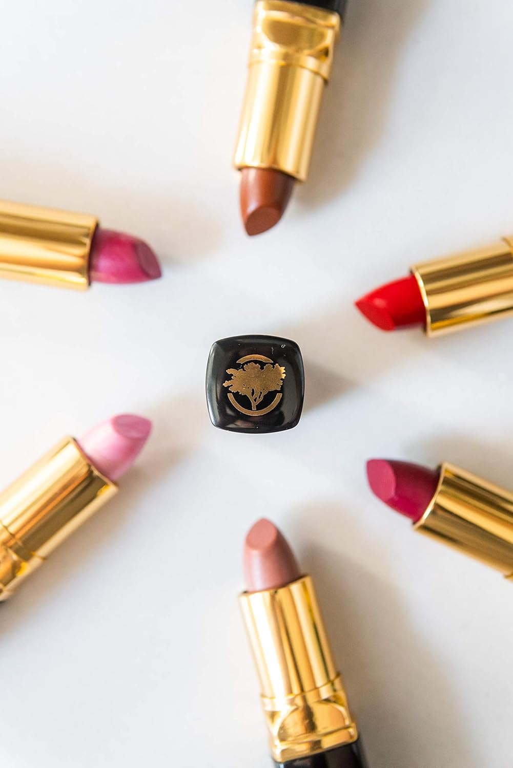 Essence Of Argan Dark Brown Lipstick for Cracked & Dry Lips - 100% Organic Argan & Jojoba Oil, Shea