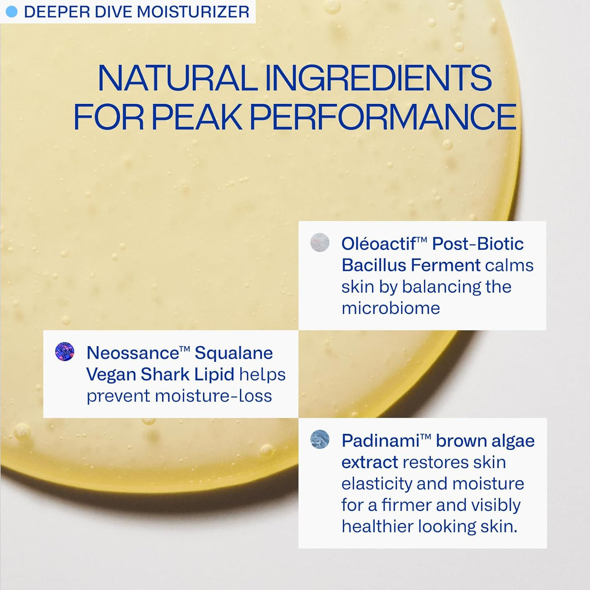 Daily System Bundle | Deeper Dive Moisturizer Serum & Daily Defender SPF 30 | Hydrating, Firming &