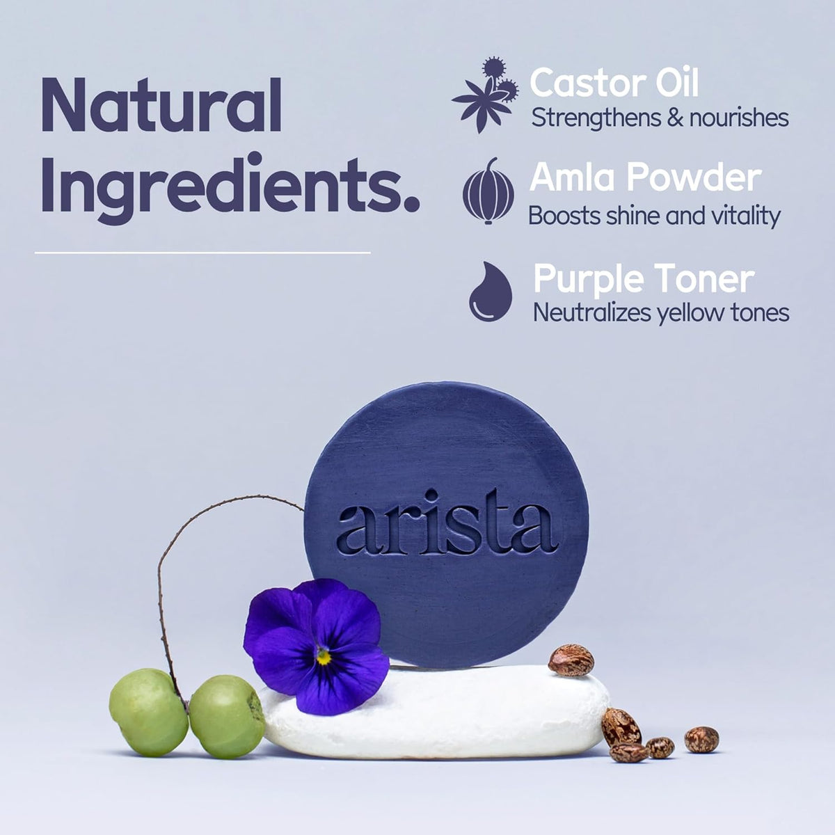 Arista Purple Shampoo Bar, Amla Fruit Powder, Purple Toner & Castor Oil, Moisturizing & Plastic