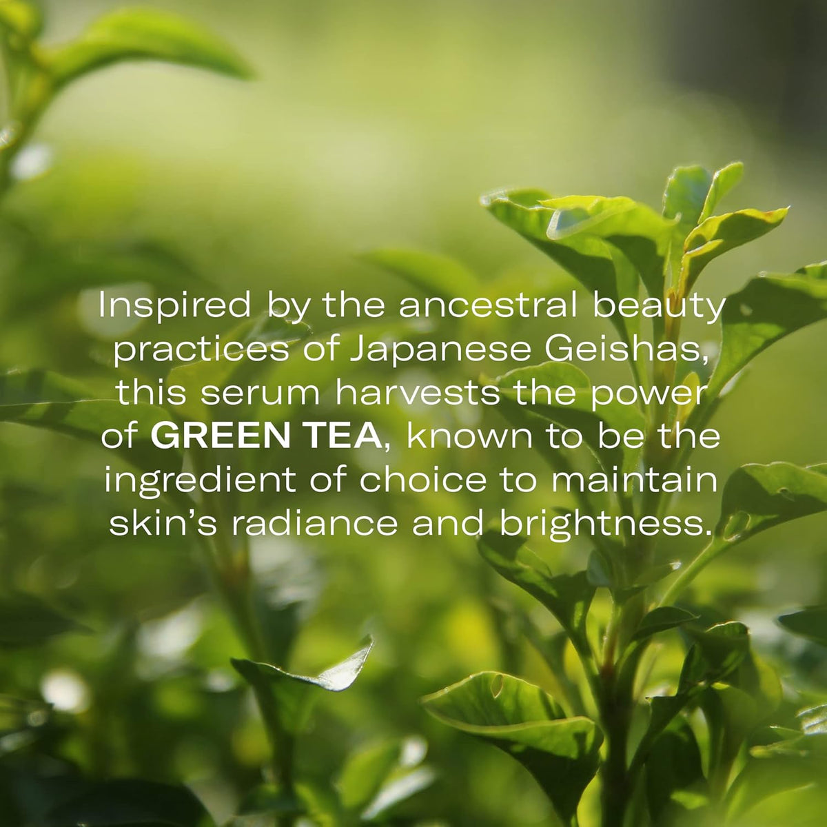 Odacité Brightening Serum Concentrate with Green Tea + Lemongrass for Radiant Skin - Lightweight