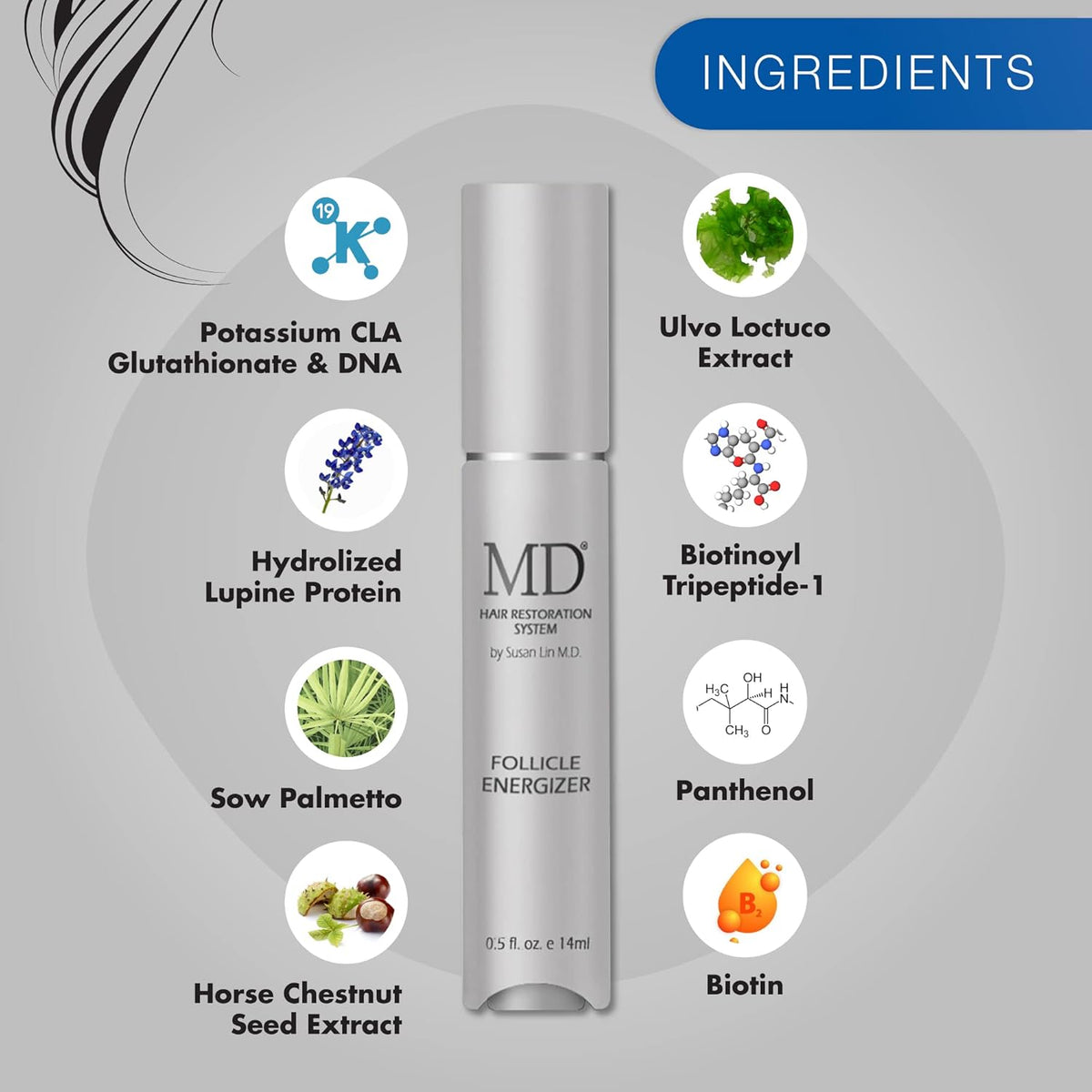 MD Follicle Energizer | Natural Hair Growth Serum | Biotin Infused to Block DHT Production and