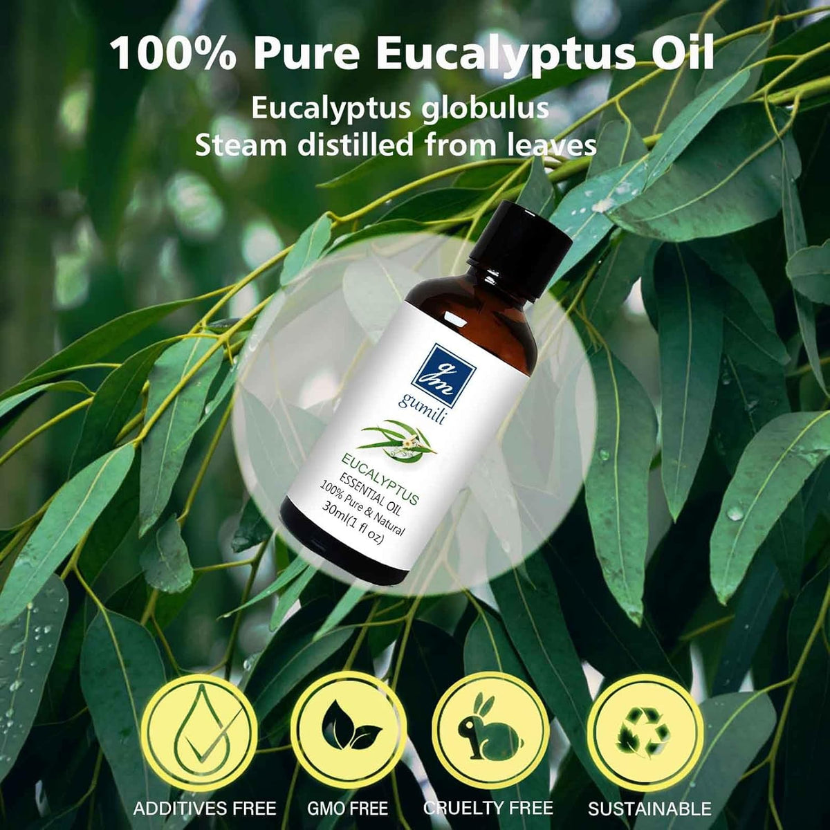 Eucalyptus Essential Oil 1 Oz, 100% Pure Natural Eucalyptus Oil, Aromatherapy Essential Oils for