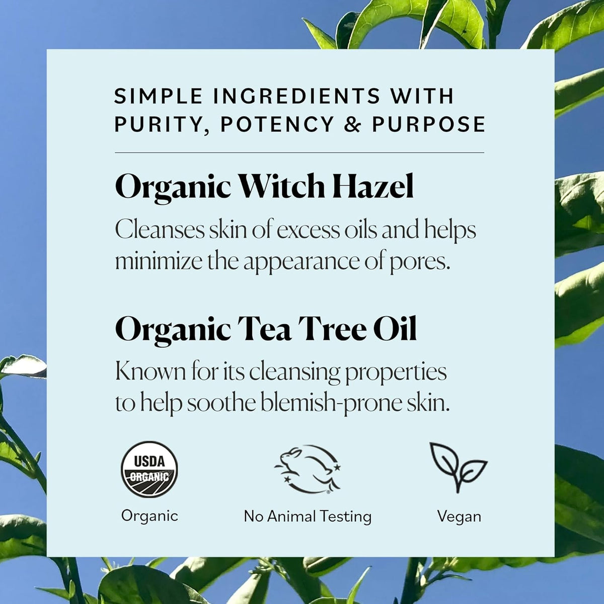 Sky Organics Organic Tea Tree & Witch Hazel for Face, Purifying Facial Toner to Hydrate, Soothe