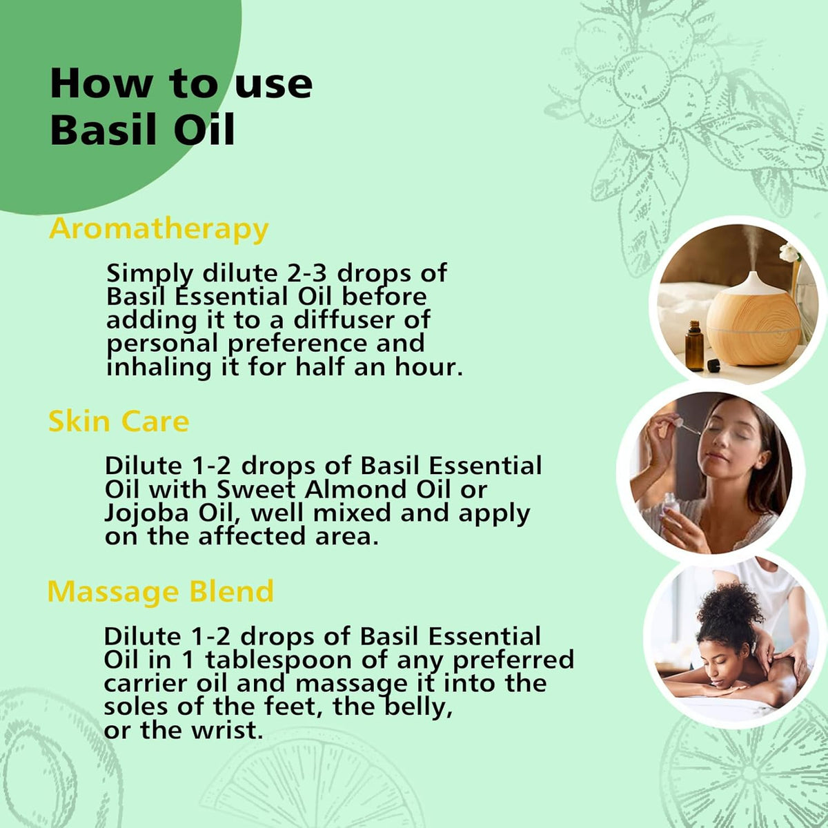Basil Essential Oil 1 Oz – 100% Pure Natural Basil Oil for Diffuser, Skin, Massage & DIY, Fresh