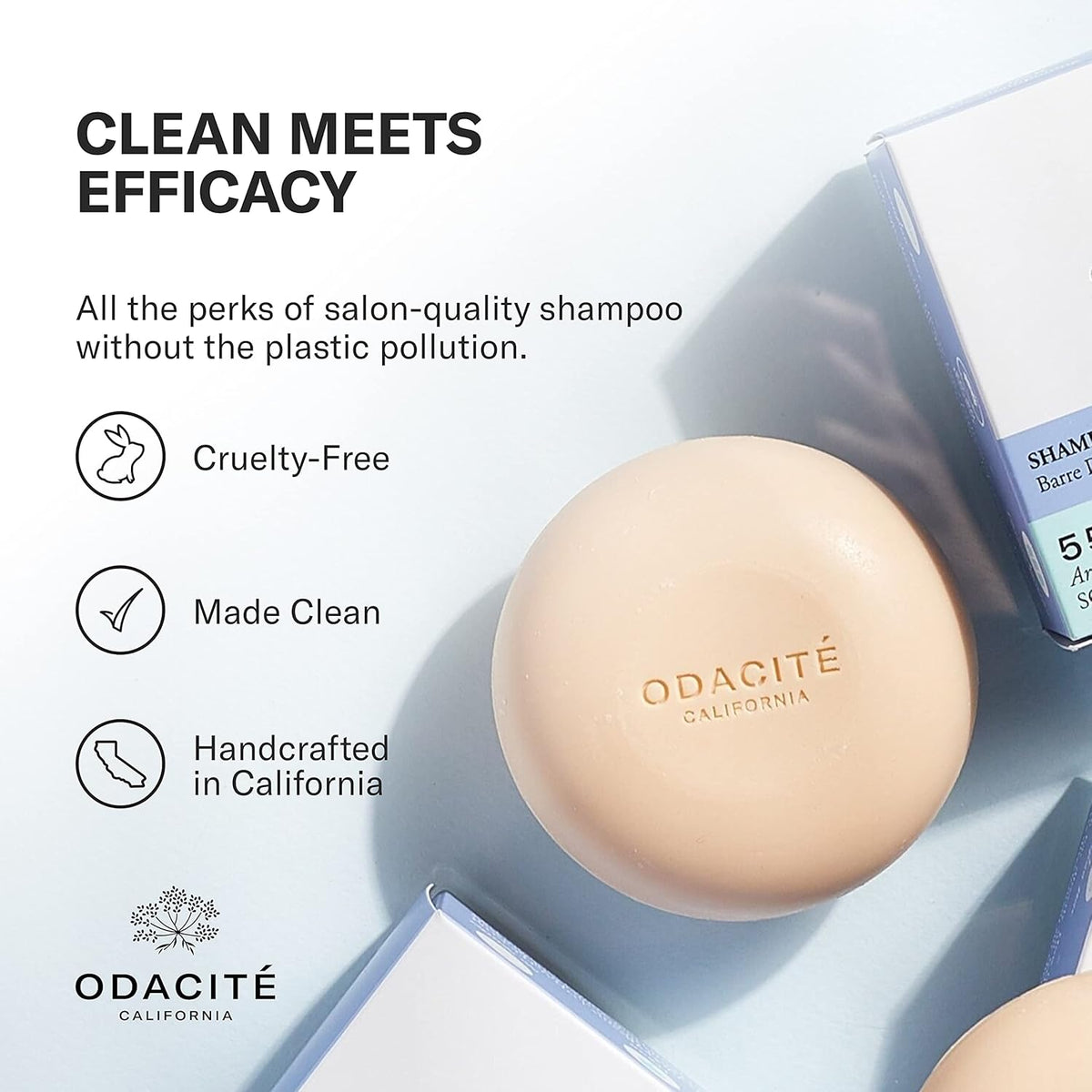 ODACITE Odacité Shampoo Bar for Hair Care - Argan & Coconut 552M Natural Soap Bar - Cleansing