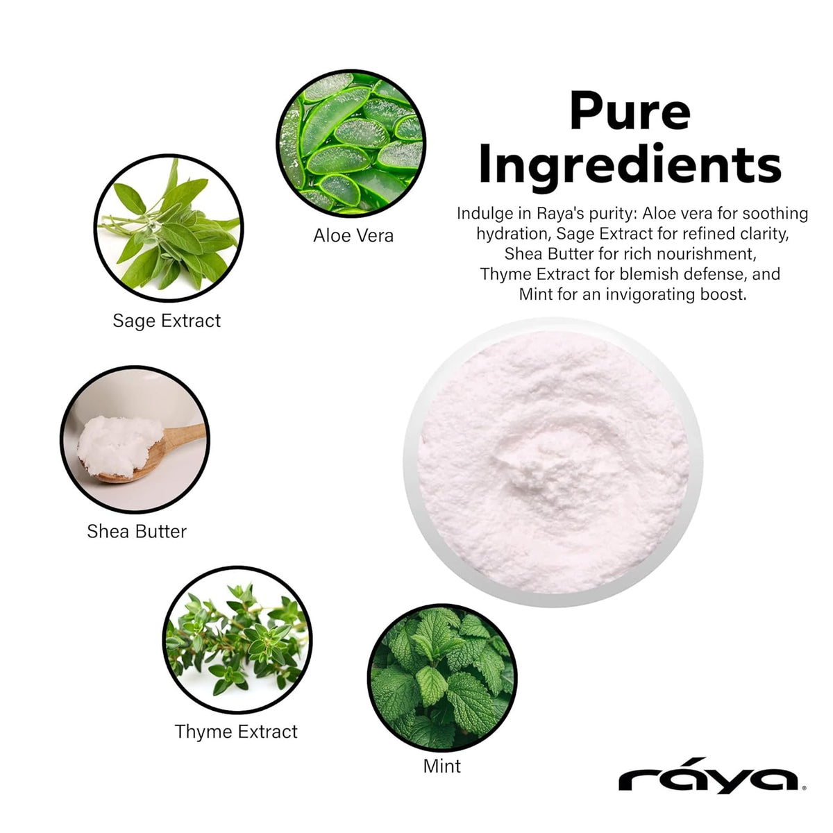 Raya Mint Soufflé Facial Cleanser (102) - Face Wash for Sensitive Skin, Combination & Oil Skin