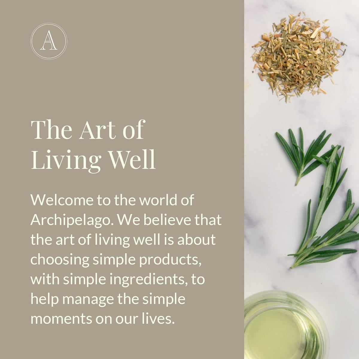 Archipelago Botanicals Oat Milk Lotion, Nurturing and Soothing Daily Moisturizer for Dry or