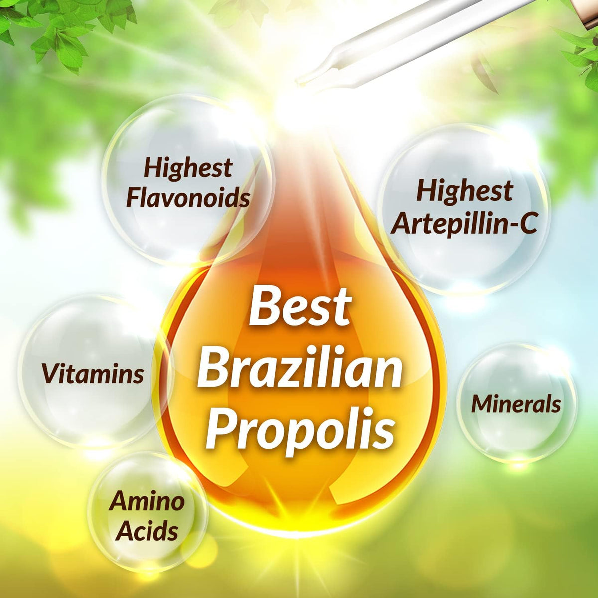 AFC Japan Brazilian Green Propolis Extract | Highest Artepilin C & Flavonoids for Antioxidant &