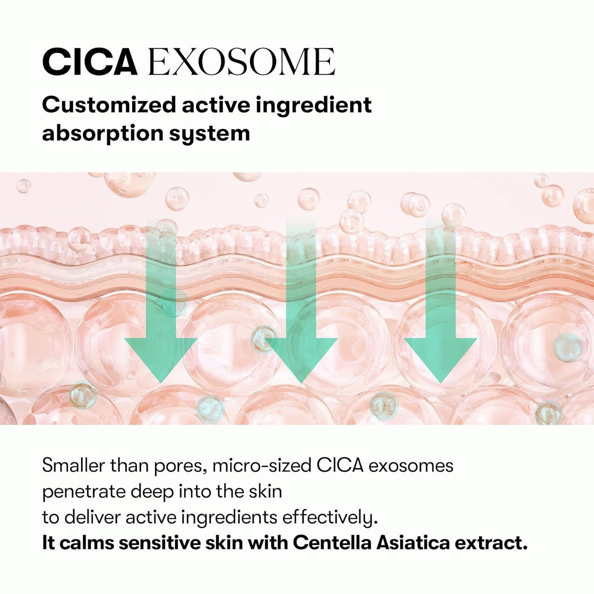 VT COSMETICS PDRN Cica Exosome Ampoule, Firming Serum with Peptide & Ceramide for Anti-Aging