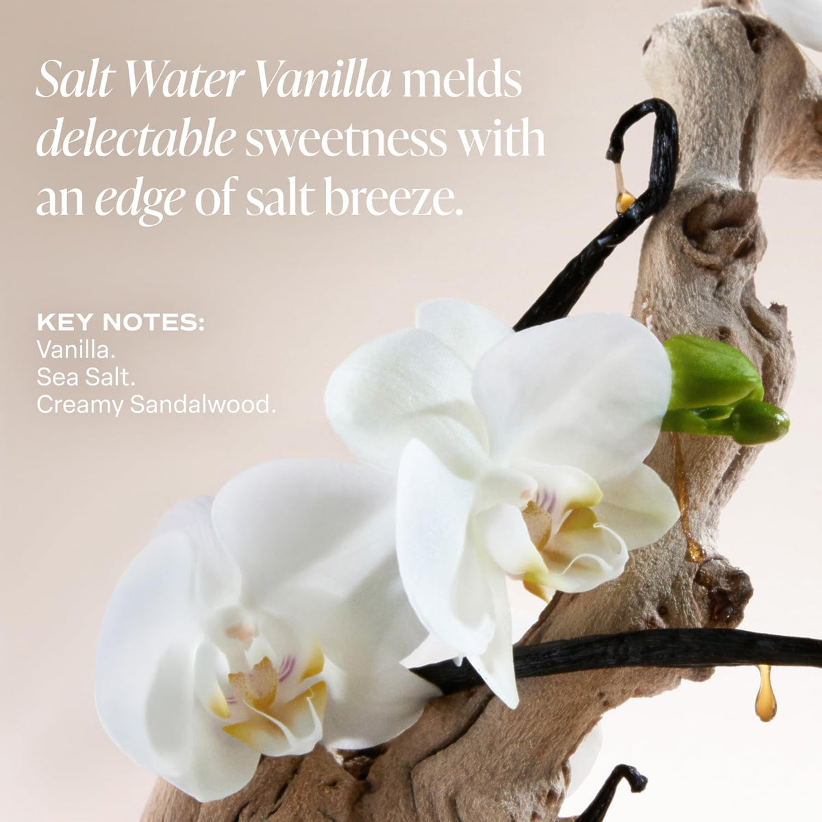 Saltair Body Lotion - 2 Pack Moisturizing Lotion For Dry Skin. Salt Water Vanilla Scented Hydrating