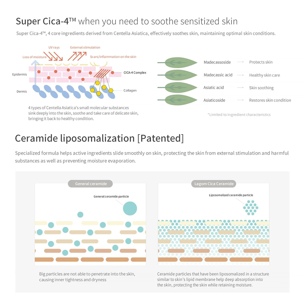 LAGOM Cellus Sensitive Cica Cream Soothing Korean Skincare with Centella and Ceramide, Sensitive