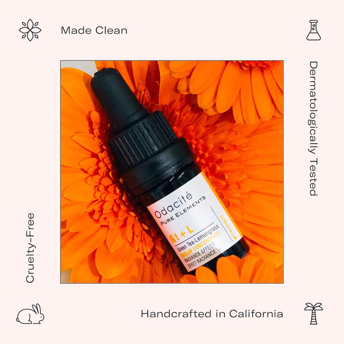 Odacité Brightening Serum Concentrate with Green Tea + Lemongrass for Radiant Skin - Lightweight