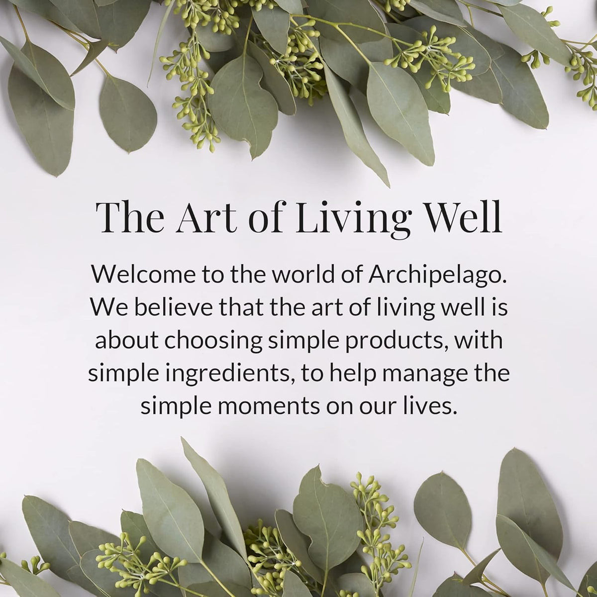 Archipelago Botanicals Lavender Lotion, Luxurious and Hydrating Lotion for Soft and Nourished Skin
