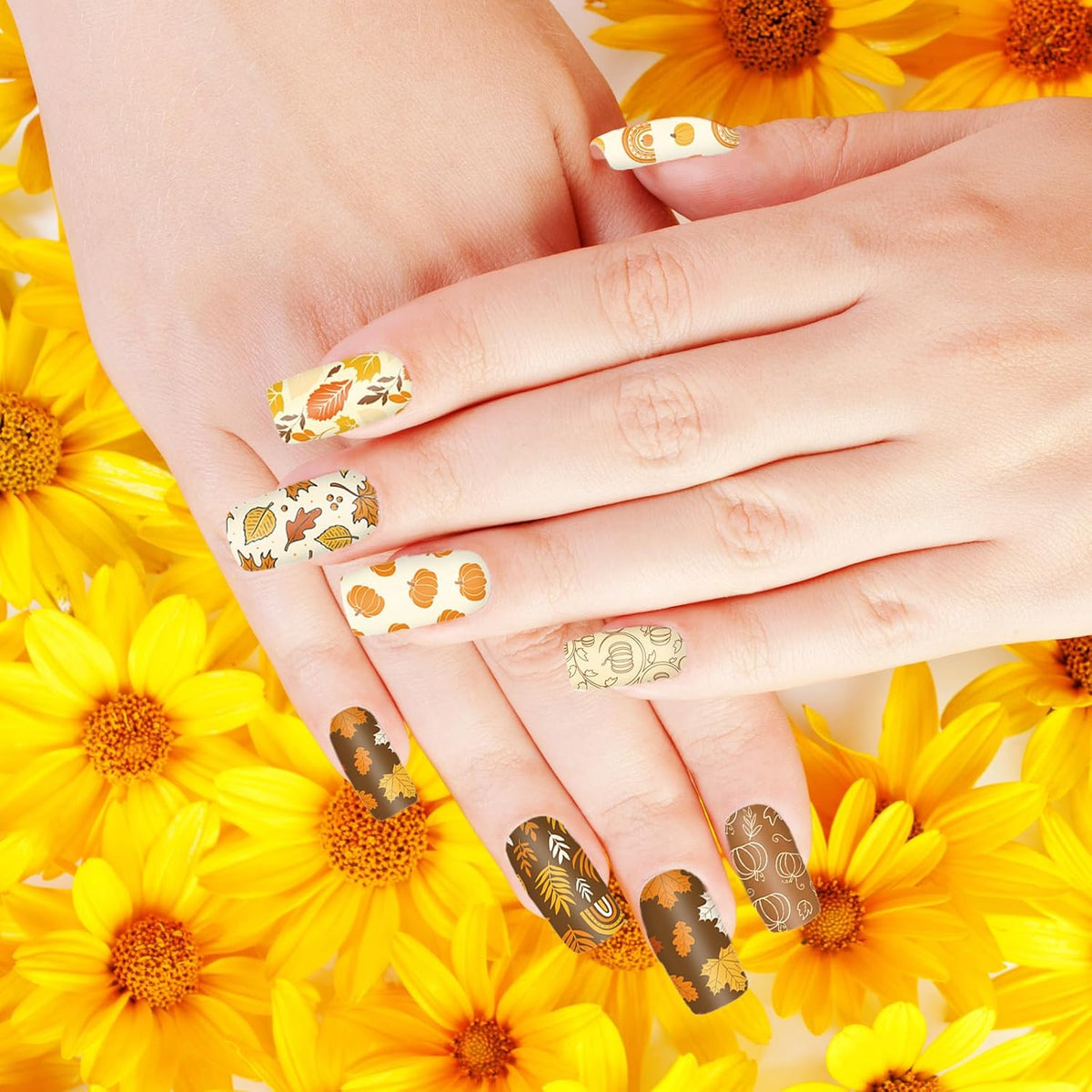 2 Sheet Fall Thanksgiving Nail Art Stamping Plate Kit Assorted Pumpkins Maple Leaves Autumn