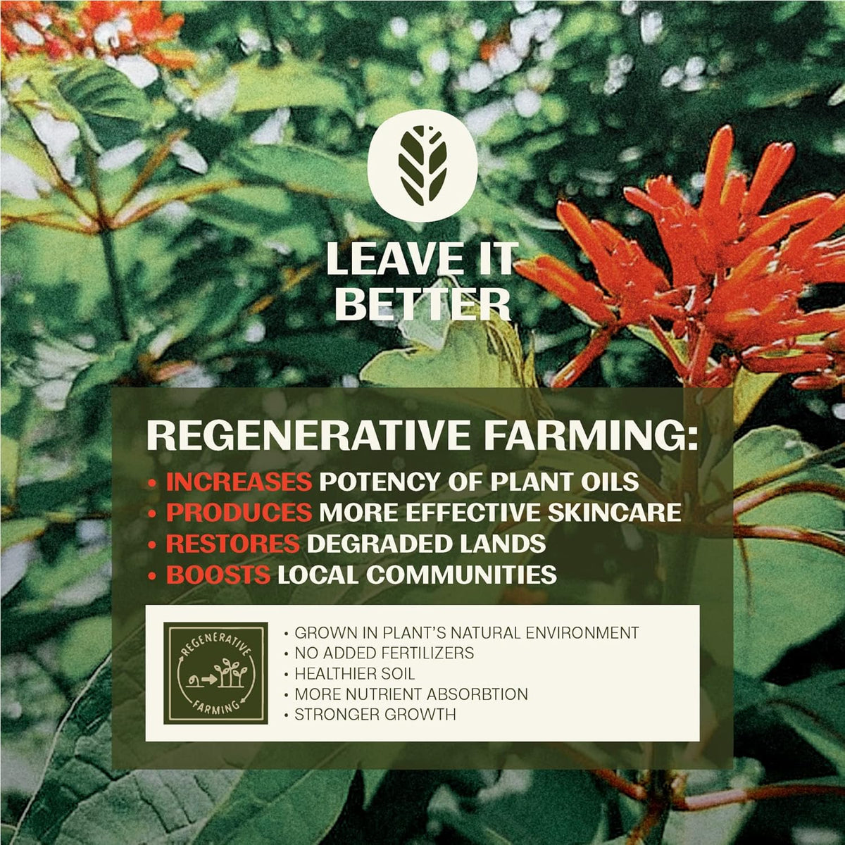 Thrive Natural Care Reef Safe Sunscreen SPF50 - Hawaii 104 Reef Act Compliant - Mineral Sunscreen