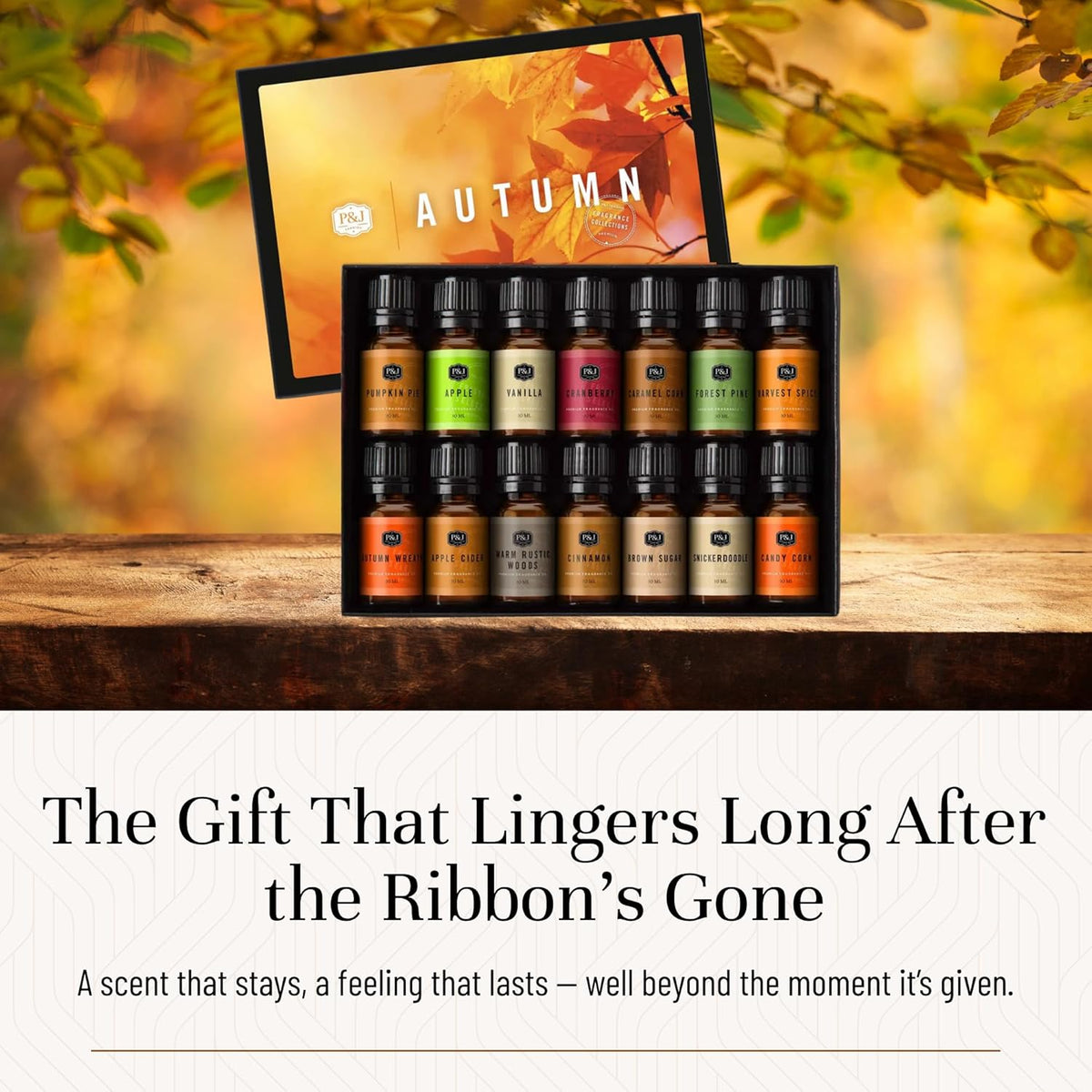 P&J Trading Fragrance Oil Autumn Set of 14 Fragrance Oils for Candle Making, Soap Making, Home