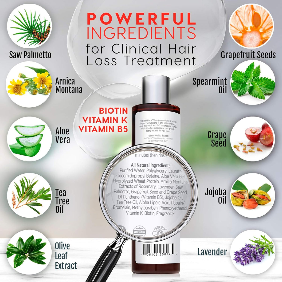HairStem DHT Blocker Hair Growth Shampoo Products with Biotin, Saw Palmetto - Clinically Developed