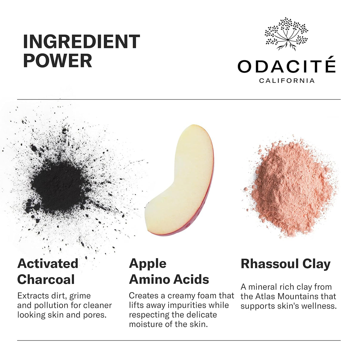 Odacité Facial Cleanser with Foam - Black Mint Activated Charcoal & Rhassoul Clay Glow Recipe