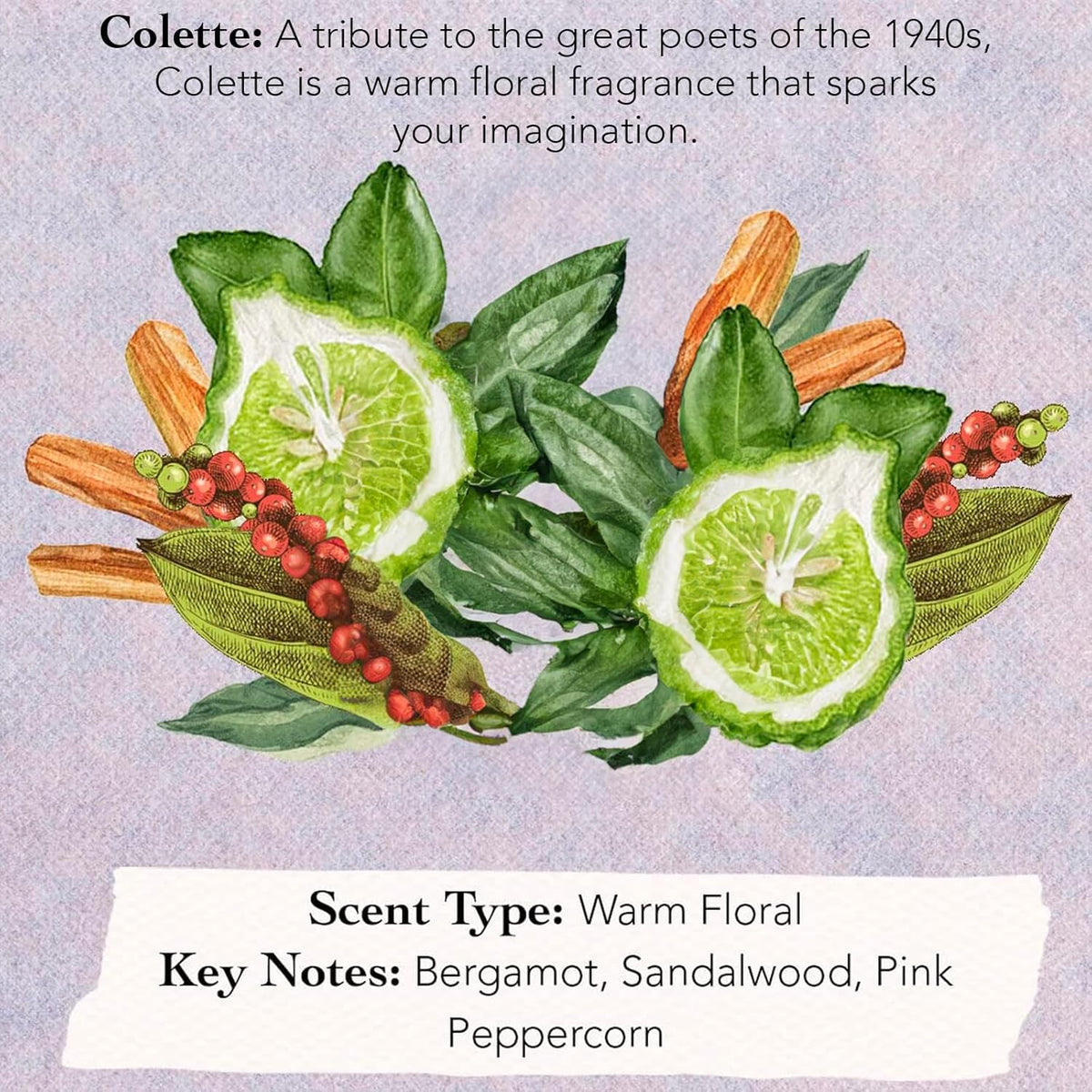 Tocca Women's Perfume Mini Discovery Sampler Set of 8, 1.5ml Each - Includes Cleopatra, Stella