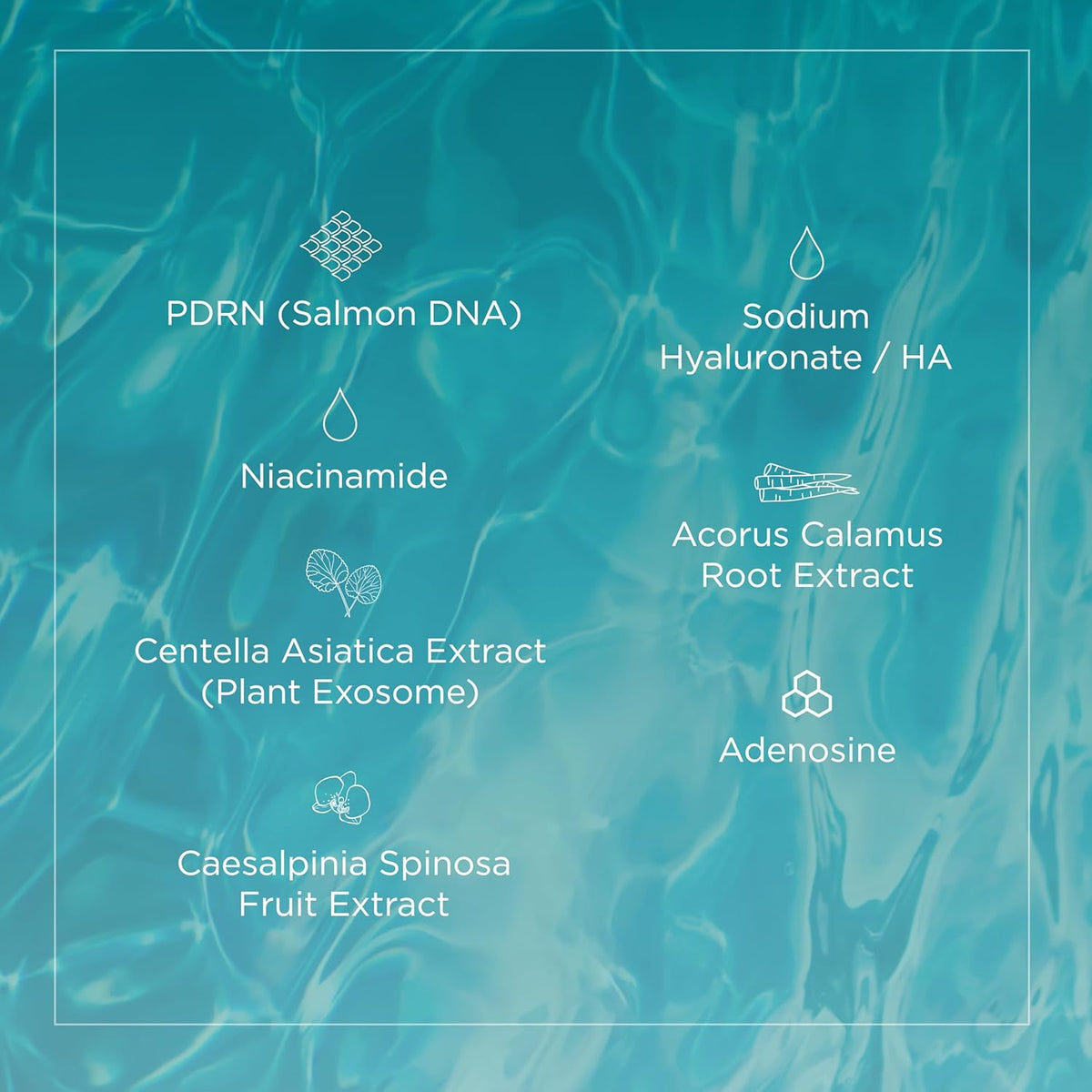 Salmon DNA Glass Skin Serum - Hydrating Korean Skincare Face Serum with PDRN, Niacinamide &