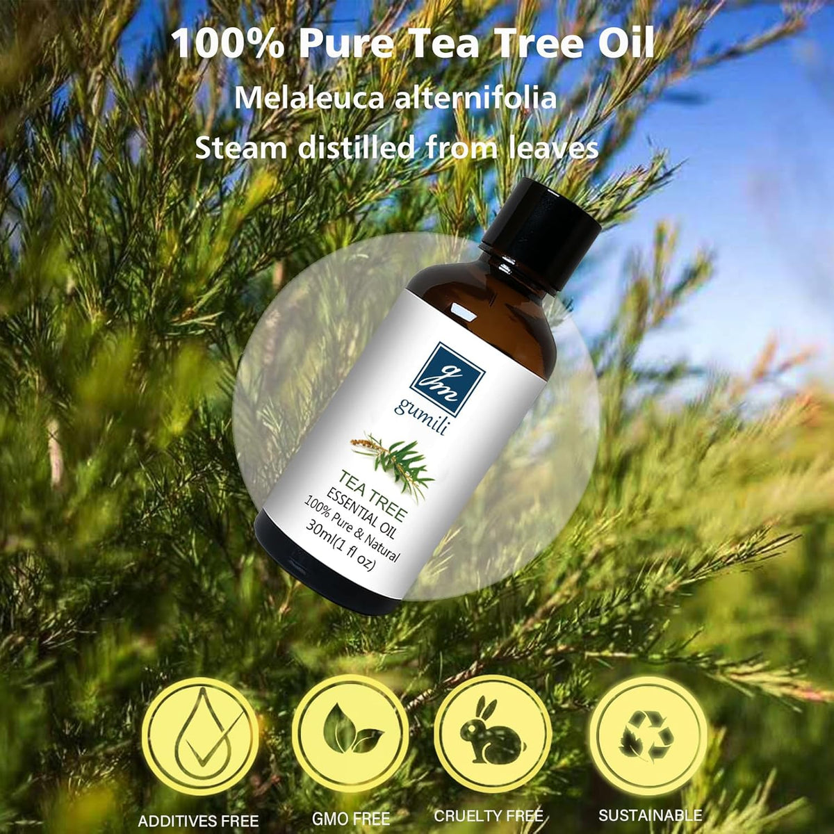Tea Tree Oil for Skin, Hair, Nail Fungus, Face Body Wash, Foot Soak, Spray, 100% Pure Tea Tree