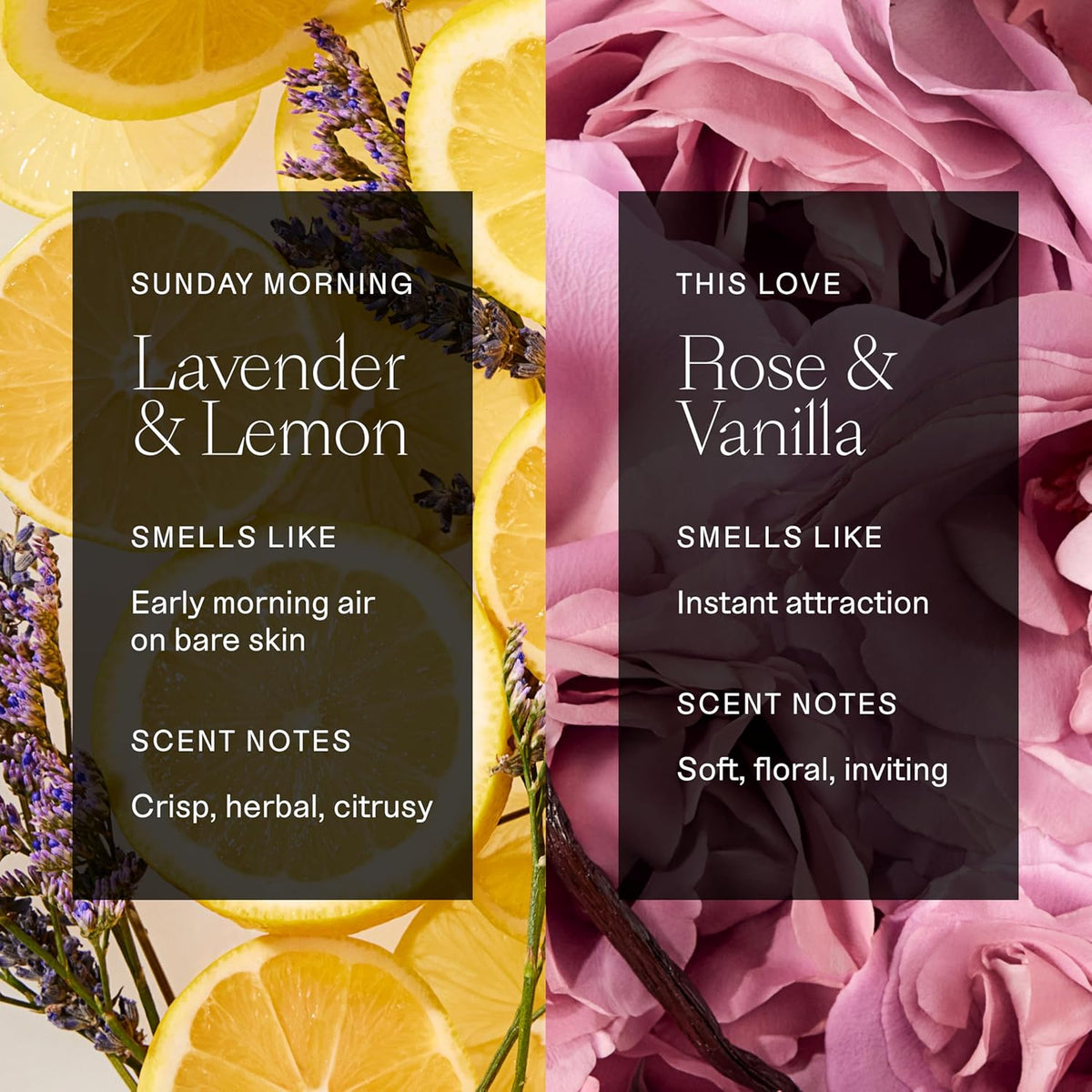 Each & Every Aluminum Free Deodorant for Women & Men, Lavender & Lemon + Rose & Vanilla - All