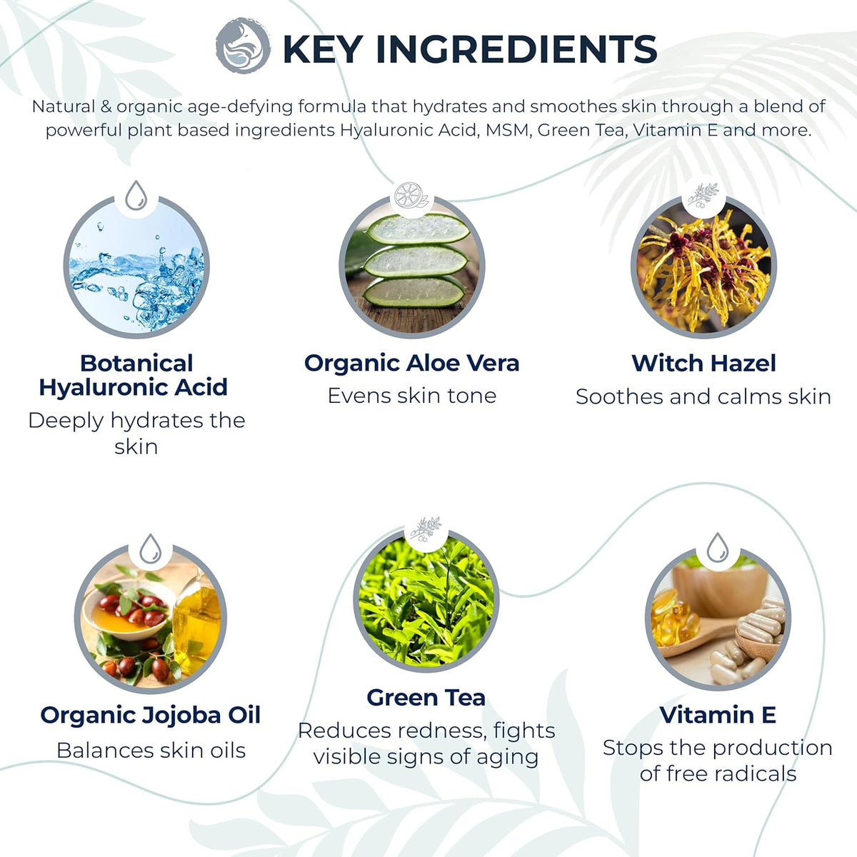 Hyaluronic Acid Face Serum - Hydrating Anti Wrinkle Anti Aging Facial Serum - With Vitamin C and E