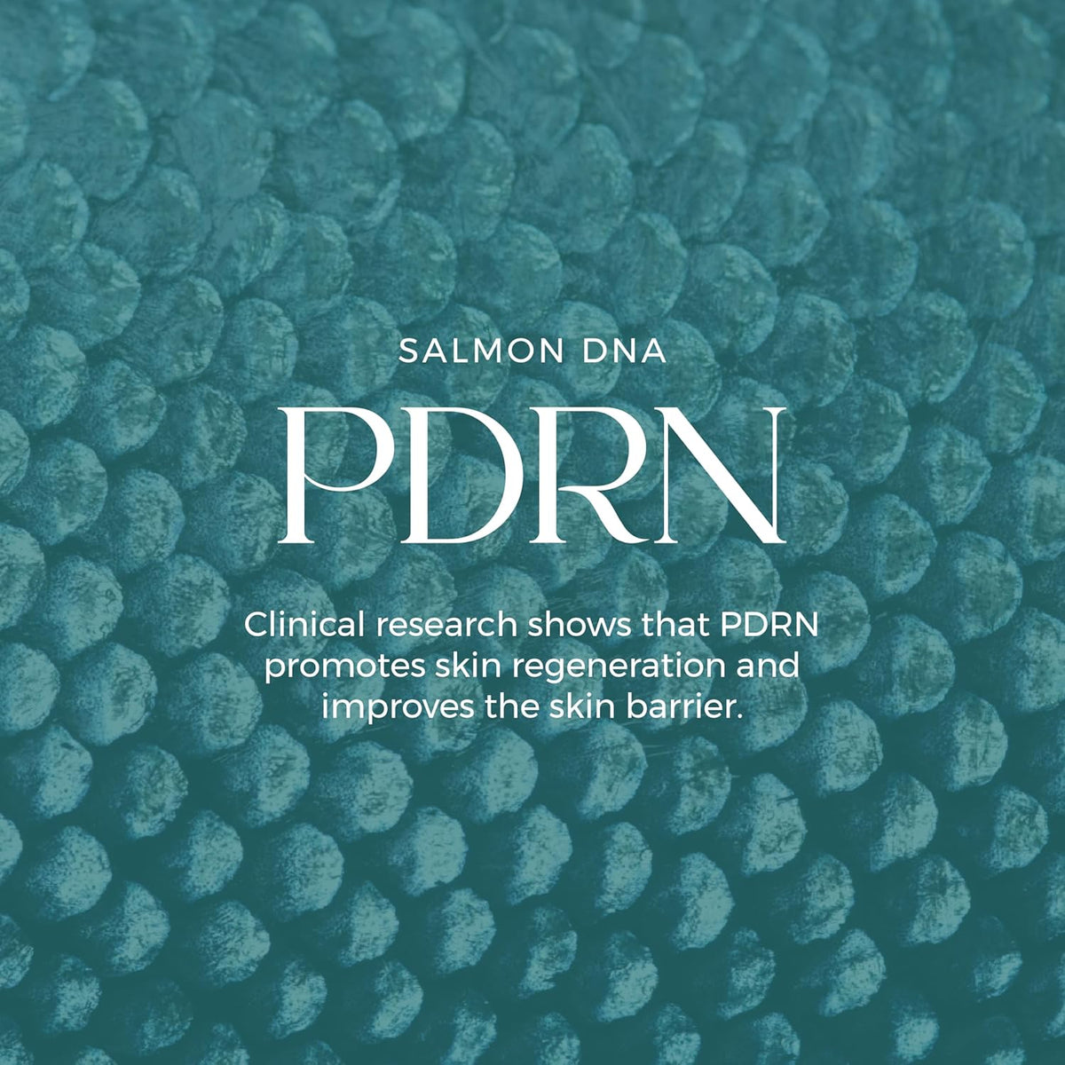 Salmon DNA Glass Skin Serum - Hydrating Korean Skincare Face Serum with PDRN, Niacinamide &