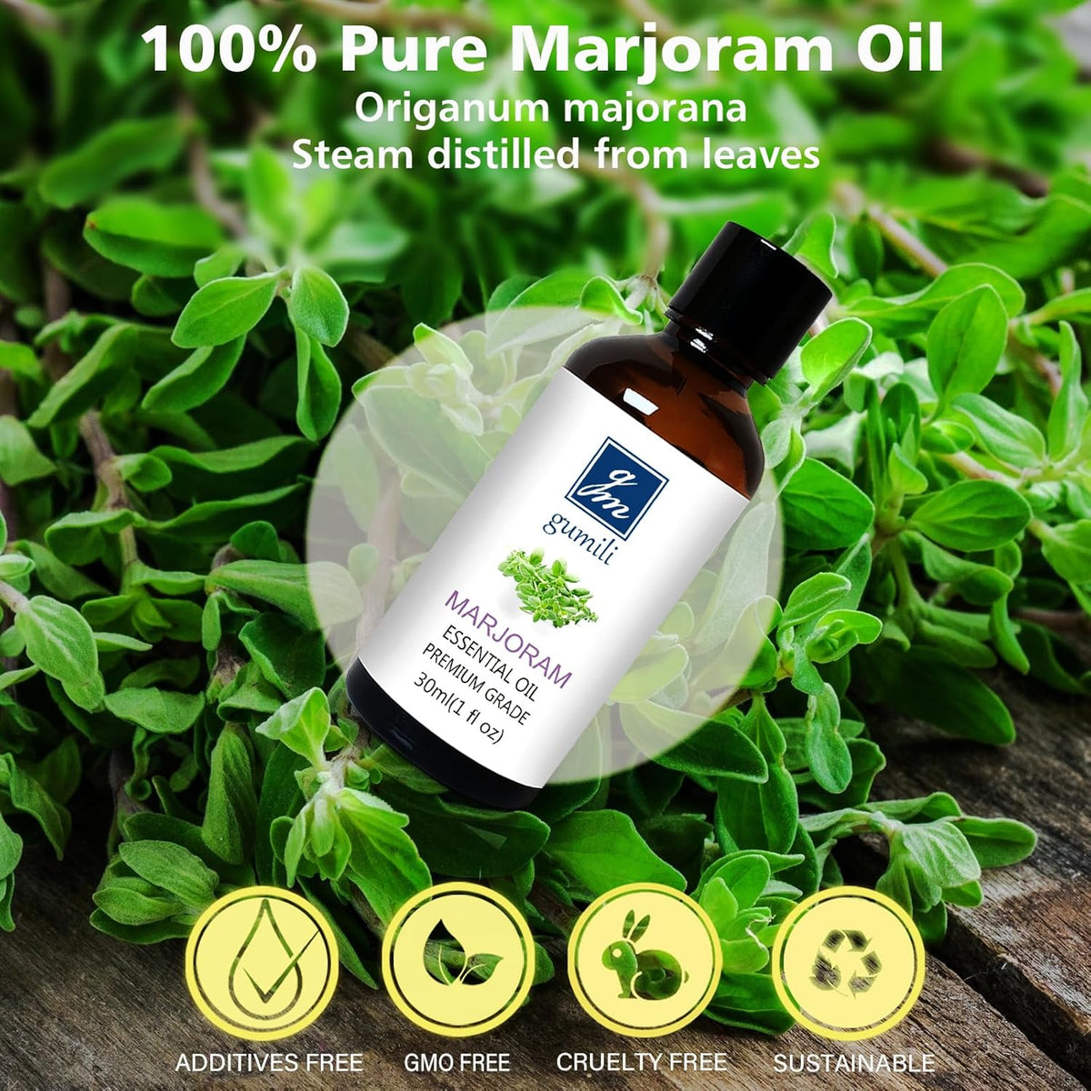 Marjoram Essential Oil 1 Oz – 100% Pure Natural Sweet Marjoram Essential Oil for Diffuser, Skin