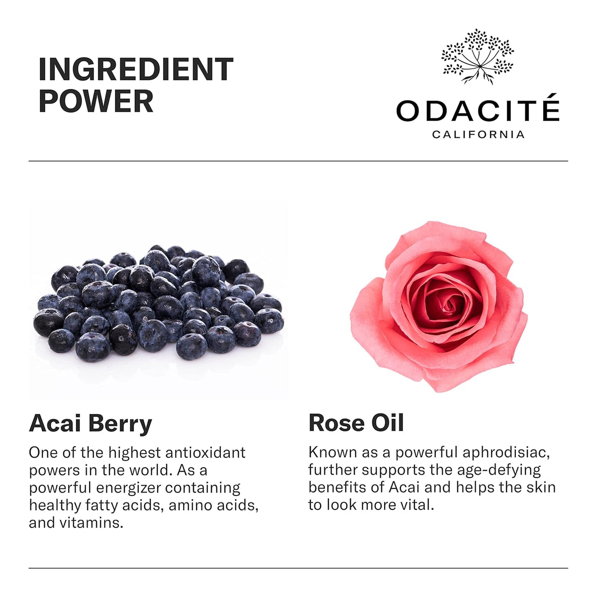Odacité Anti Aging Serum Concentrate with Acai + Rose - Revitalizing Facial Oil, Youthful Glow