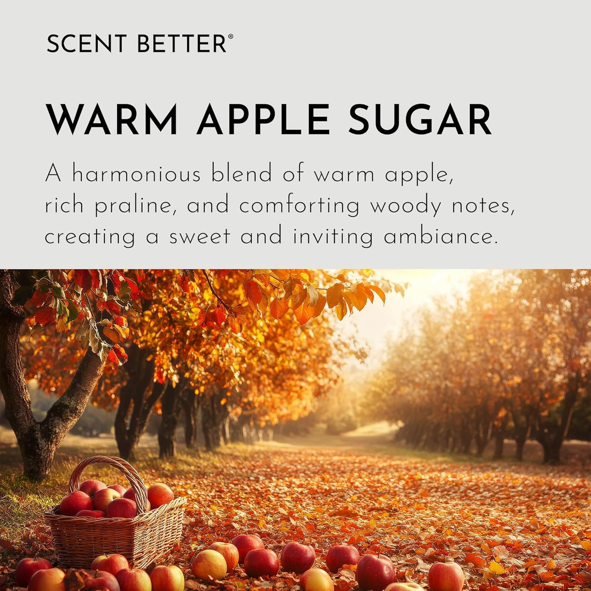 Scent Better Warm Apple Sugar Aroma Essential Oil Blend: an Aromatherapy Blend of Apple, Oakwood