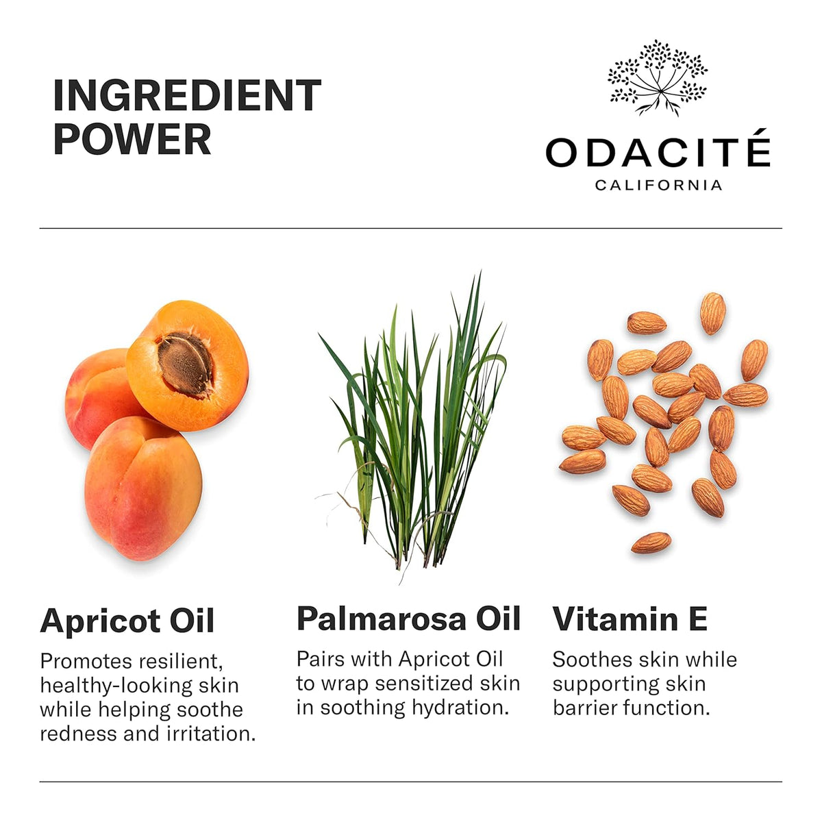 Odacité Anti Aging Serum Concentrate with Apricot and Palmarosa - For Fragile Capillaries