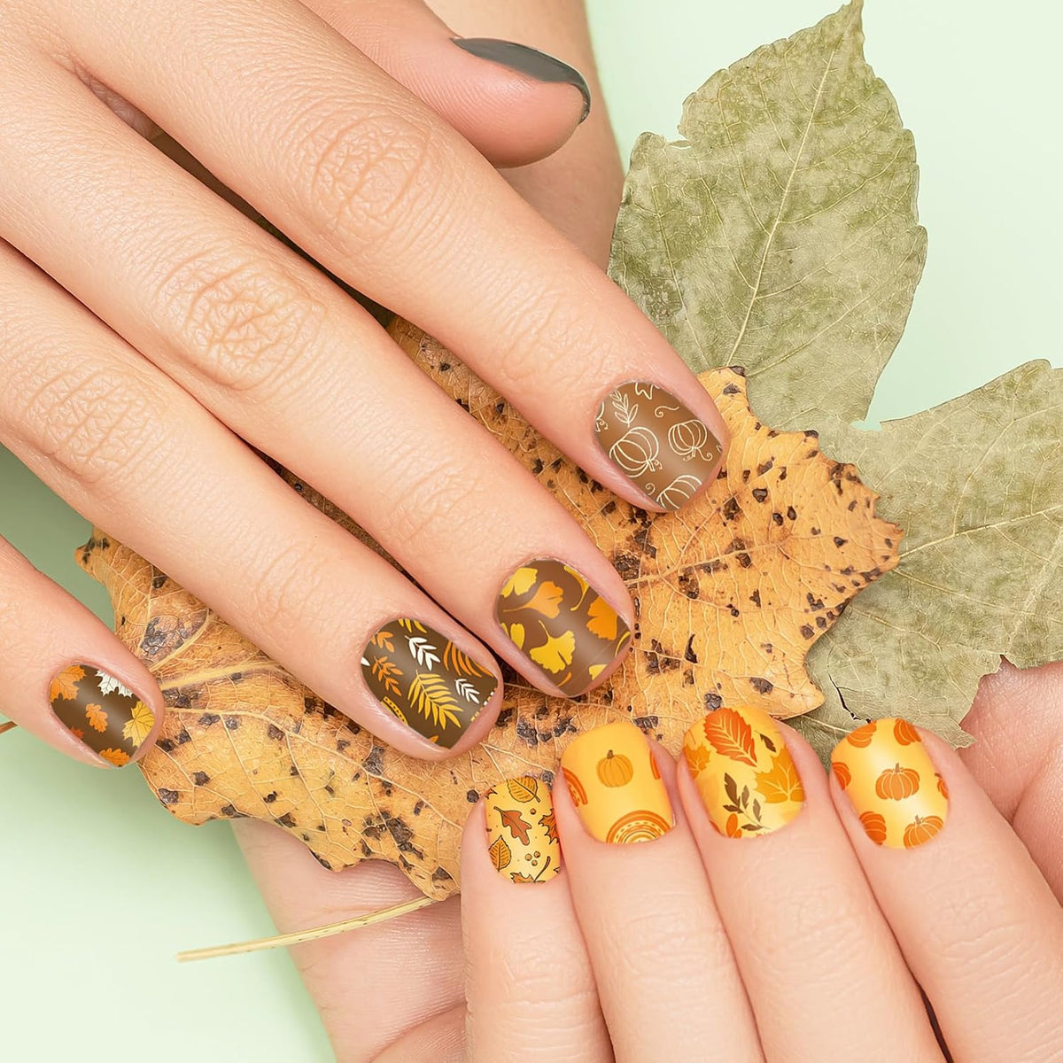 2 Sheet Fall Thanksgiving Nail Art Stamping Plate Kit Assorted Pumpkins Maple Leaves Autumn