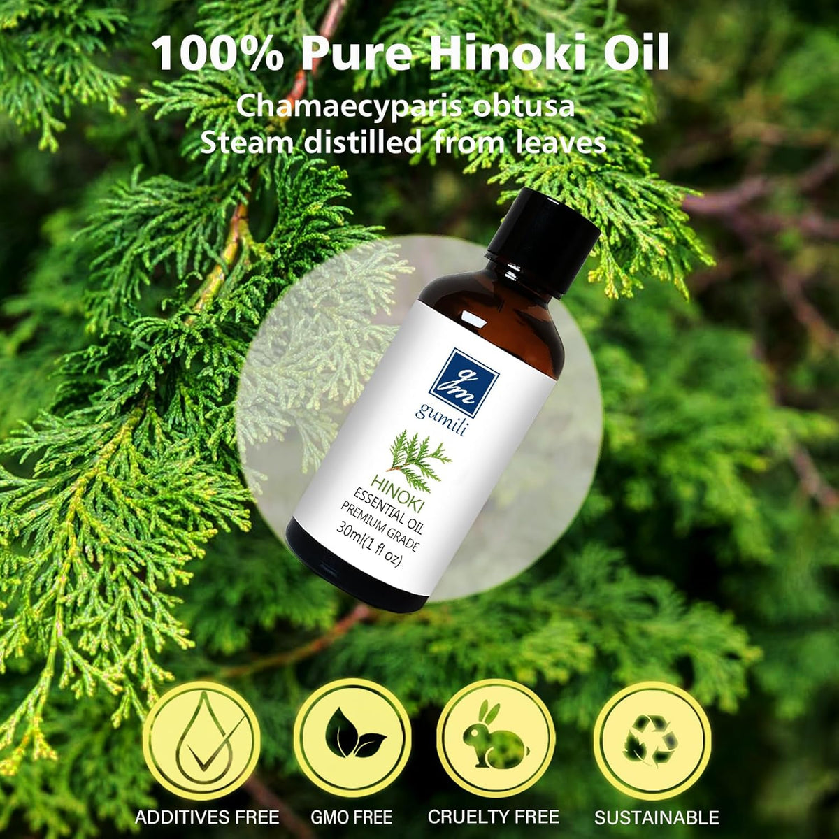 Hinoki Essential Oil 1 Oz – 100% Pure Natural Hinoki Oil for Diffuser, Skin, Hair, Massage & DIY
