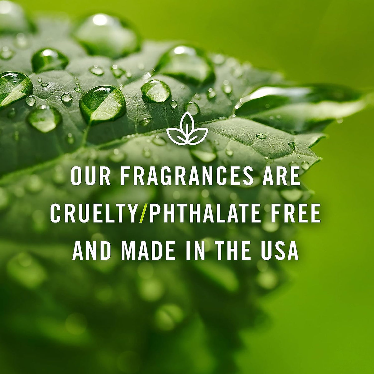 P&J Fragrance Oil Romance Set | Honey, Rose, Leather, Warm Vanilla Sugar, Berries & Cream, Clove