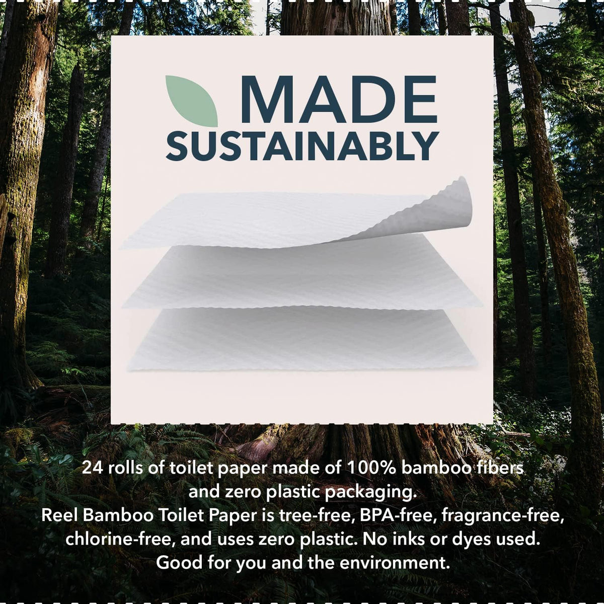 Reel Premium Toilet Paper - 12 Rolls of Toilet Paper - 3-Ply Made from Tree-Free - Zero Plastic
