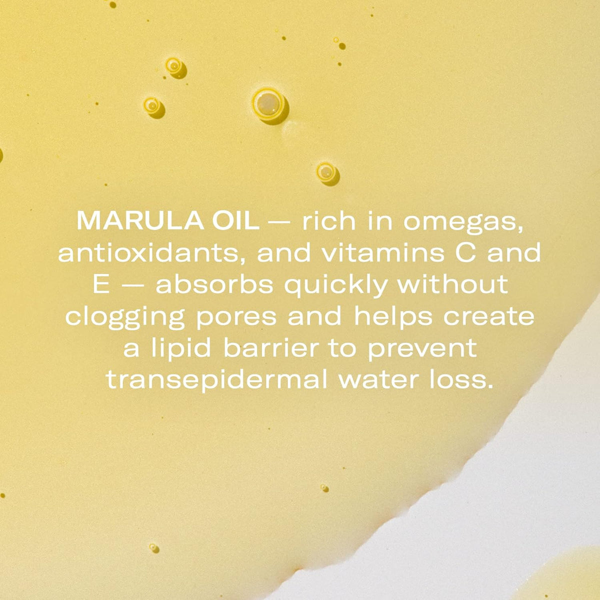 Odacité Anti Aging Serum Concentrate with Marula + Neroli, Elasticity Glow Recipe - Facial Oil for
