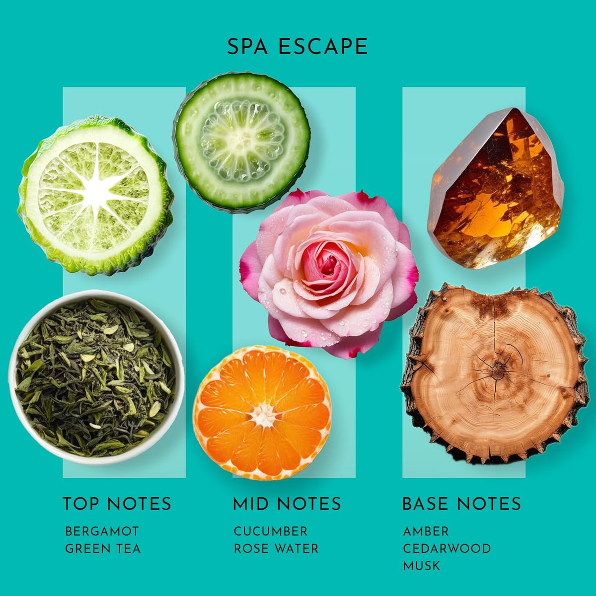 Scent Better Spa Escape Aroma Essential Oil Blend: an Aromatherapy Blend of Green Tea, Mandarin