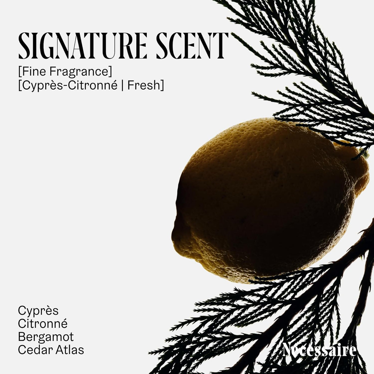 Nécessaire The Body Lotion Cyprès-Citronné – Multi-Peptide Body Moisturizer for Women + Men