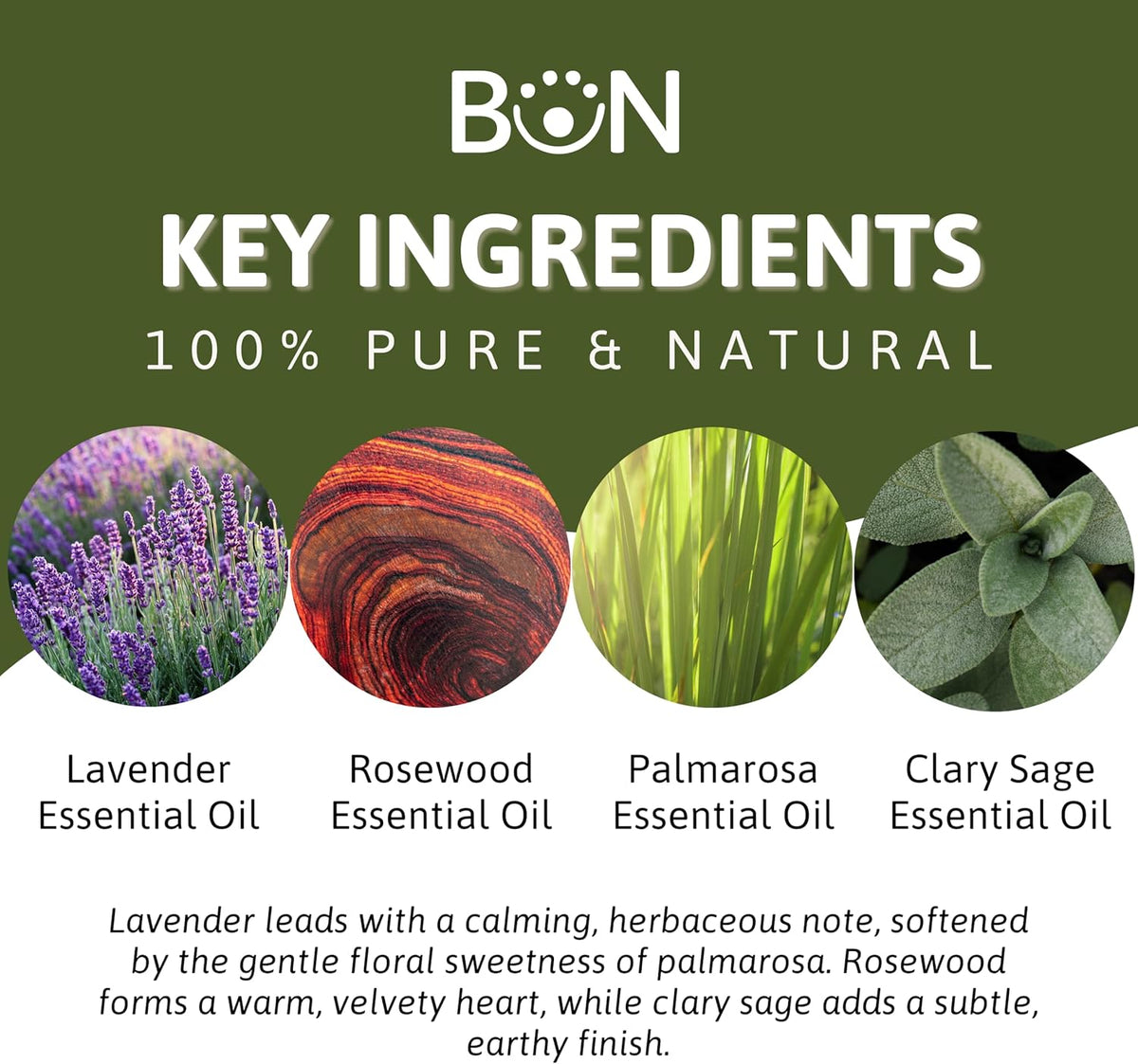 Best of Nature Essential Oil Blend – 100% Pure for Diffuser, Aromatherapy & Relaxation (Tranquility)