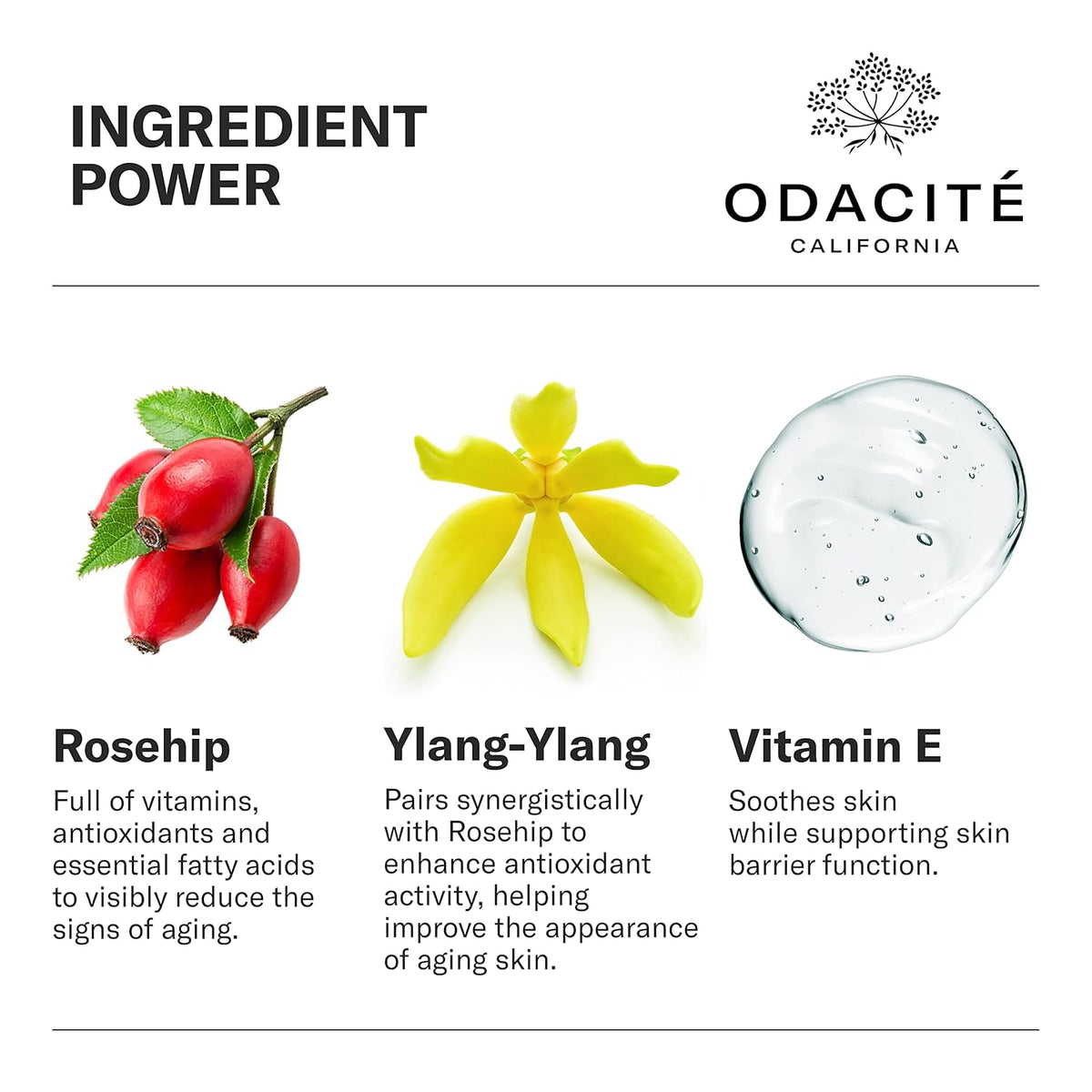Odacité Anti Aging Serum Concentrate with Rosehip + Ylang-Ylang - Lightweight Facial Serum For