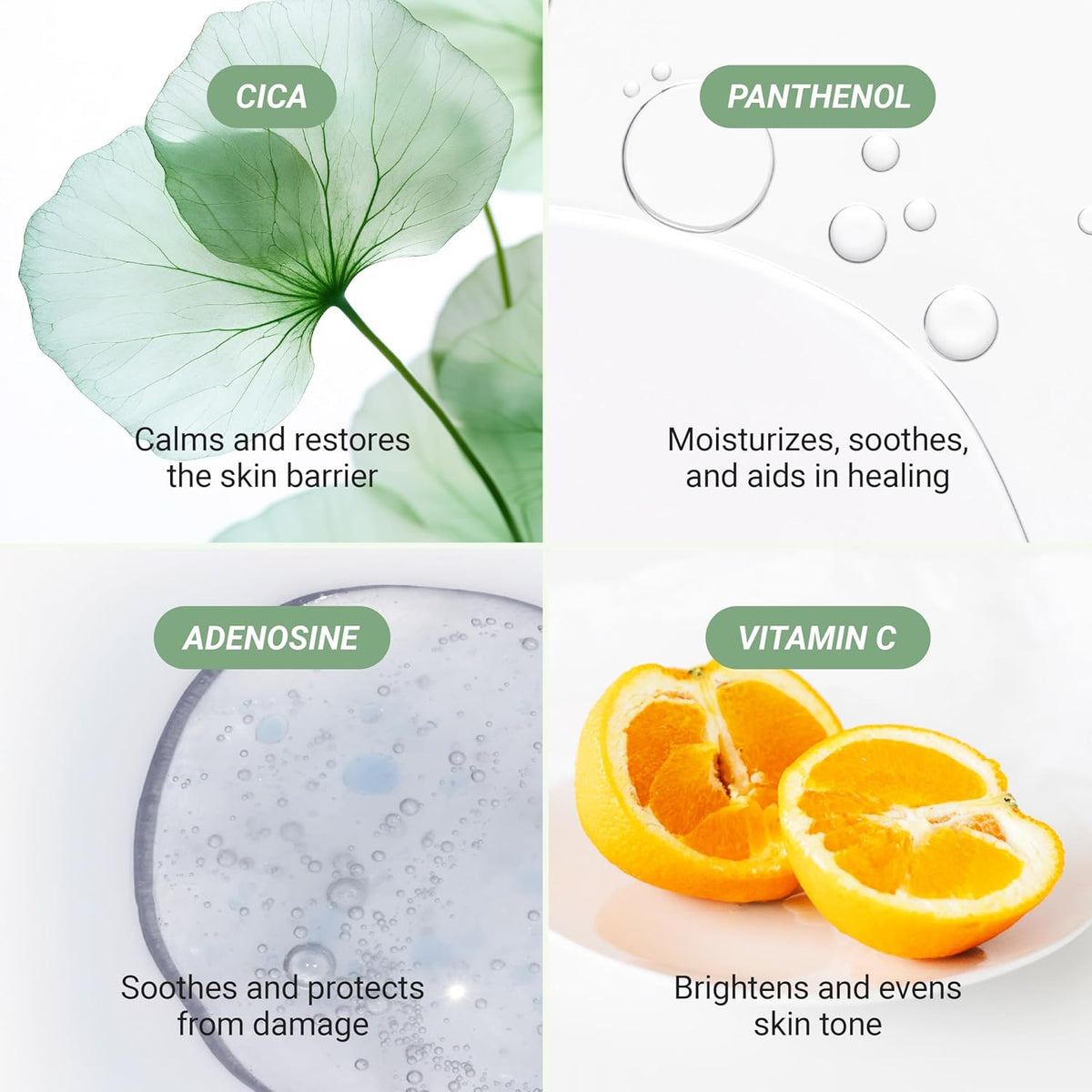 Meebak Korean Vitamin C Serum | Brightening Dark Spot Remover | Soothing Anti Aging & Skin