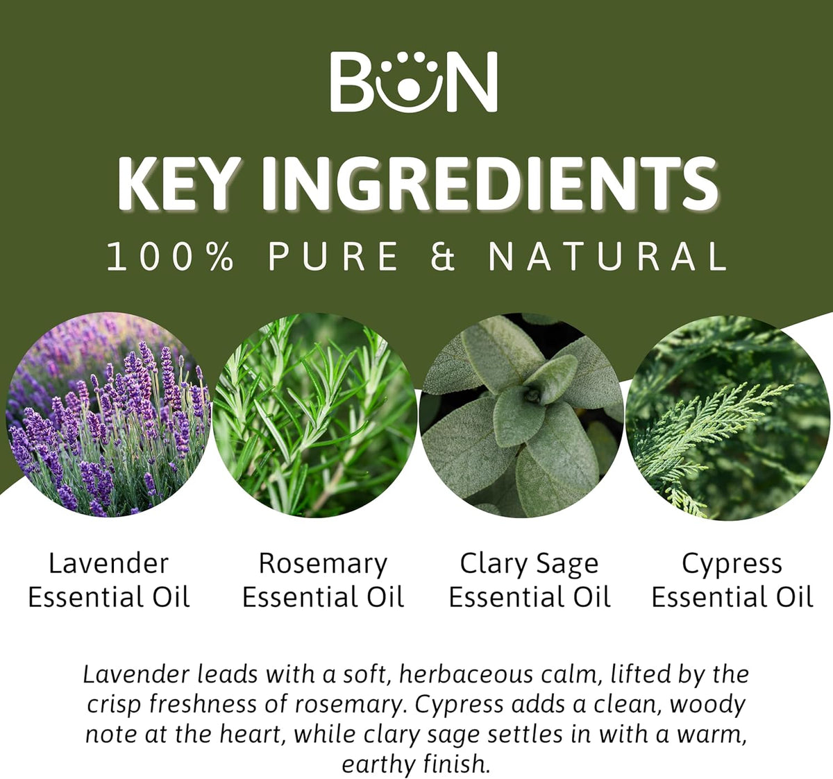 Best of Nature Memory Essential Oil Blend – 100% Pure for Diffuser, Aromatherapy & Focus – Herbal
