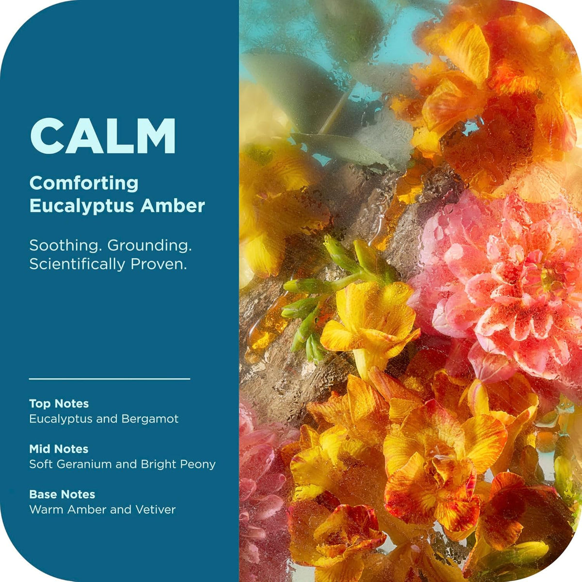 OLLY Calm Body Wash with Hyaluronic Acid, Adaptogens & Vitamin B3– Nourishing Cleanser for Skin