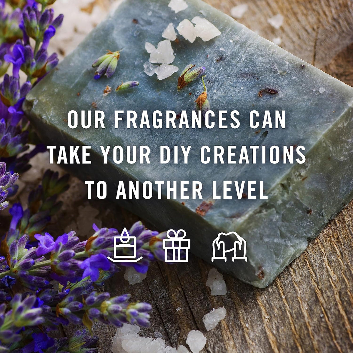 &J Fragrance Oil Tropical Set | Banana, Coconut, Awapuhi and Seaberry, Pineapple, Mango, Ocean