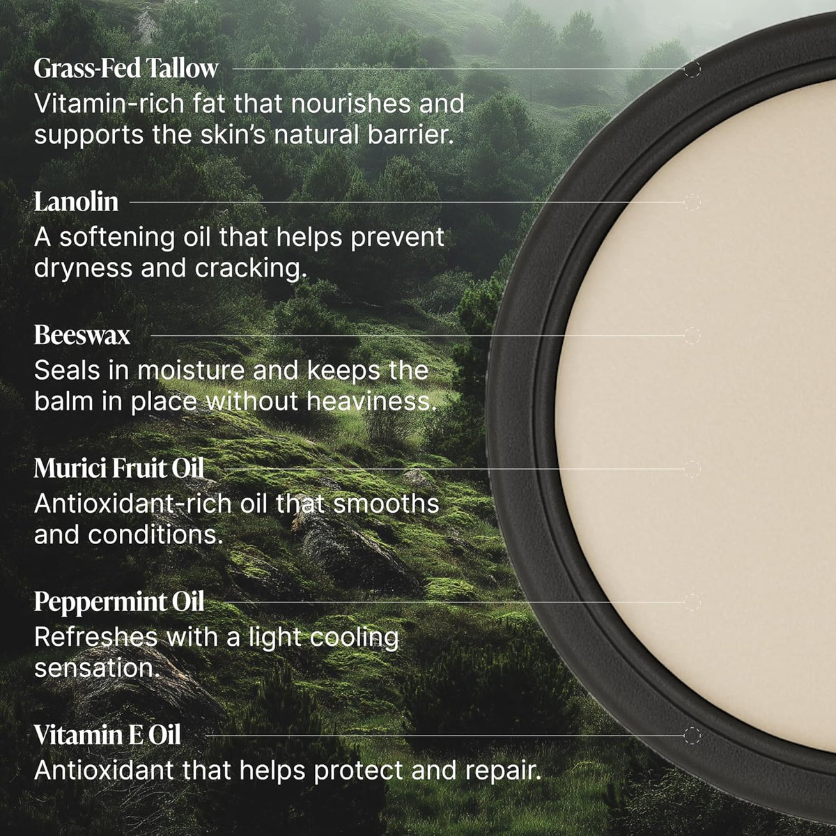 Peppermint Grass-Fed Tallow Lip Balm, Lip Sleeping Mask, Overnight Moisturizer, Natural & Clean